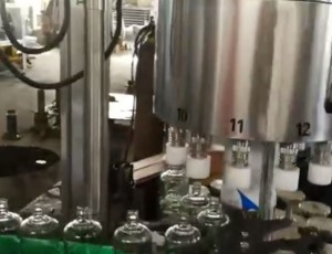 12頭高**全自動(dòng)灌裝機(jī)，塑料蓋自動(dòng)提升理蓋掛蓋機(jī)